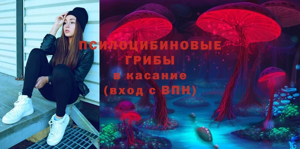 гидропоника Абдулино
