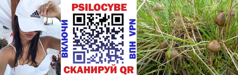 Галлюциногенные грибы мицелий  как найти   блэк спрут ССЫЛКА  Новое Девяткино 